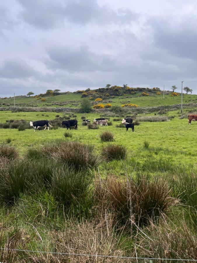 Lacken Farmyard Kilmihil Eksteriør billede