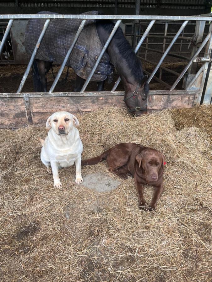 Lacken Farmyard Kilmihil Eksteriør billede