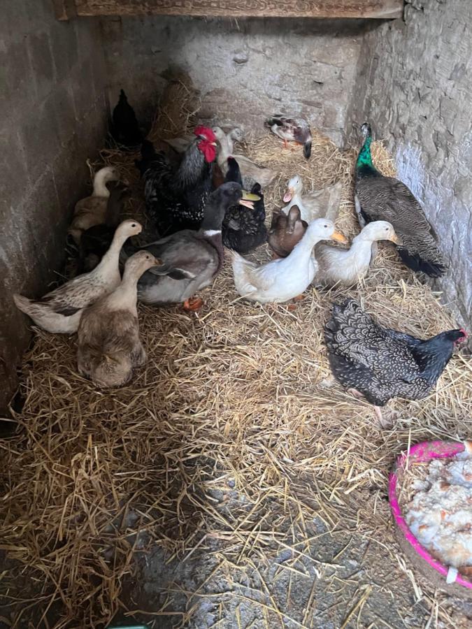 Lacken Farmyard Kilmihil Eksteriør billede